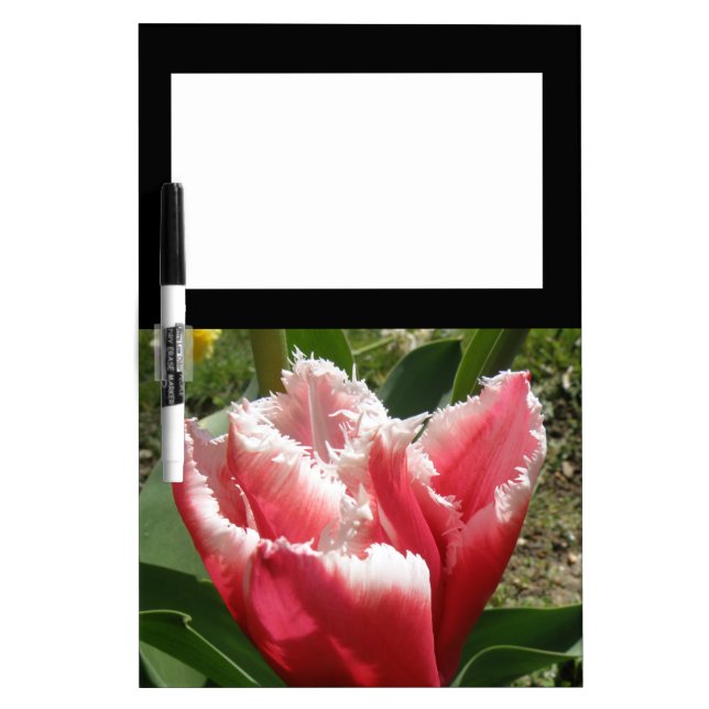 Pink Fringed Tulip Memo Board (Front)