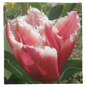 Pink Fringed Tulip Napkin