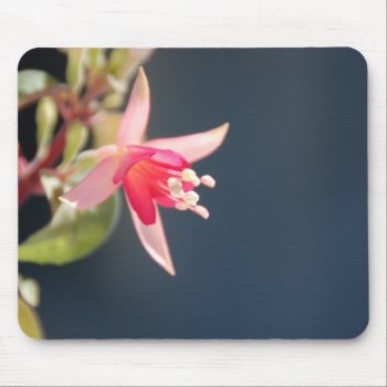 Pink Fuchsia Mousepad by pulsDesign at Zazzle