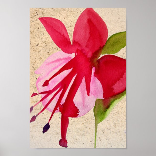 Pink Fuchsia pop art watercolour flower Poster (Front)