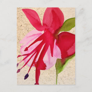 Pink Fuchsia watercolour flower pop art Postcard