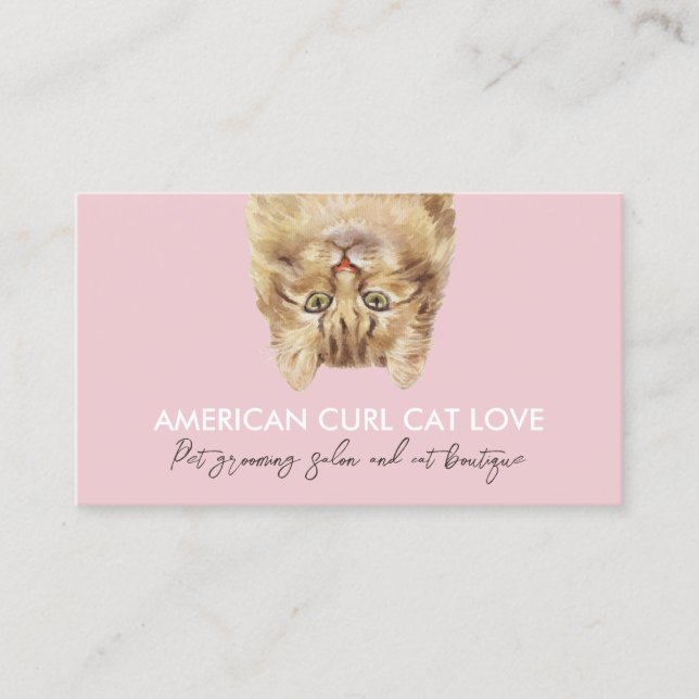 Pink Funny Pet Sitter American Curl Cat Business Card (Front)