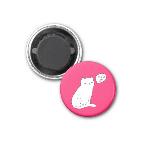 Pink funny silly cat art youre old Birthday  Magnet