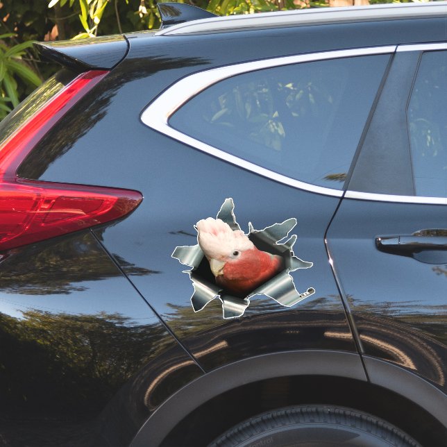 Pink Galah Parrot Sticker – Australian Bird Decal (Car Side)