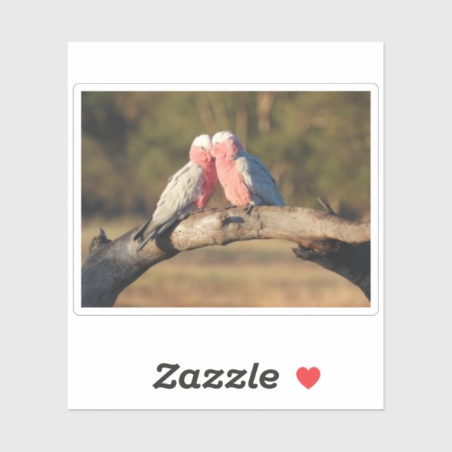 Pink Galahs Sticker (Sheet)