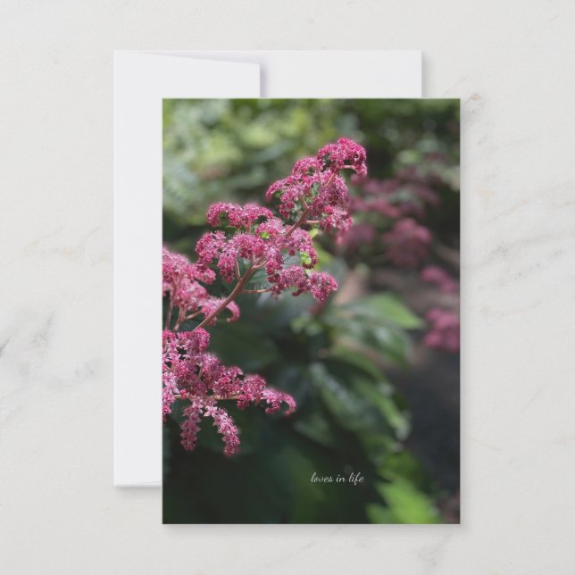 Pink Garden Flower Note Card (Front)