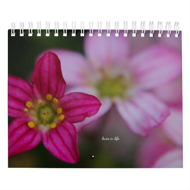 Pink Garden Flowers Calendar (Cover)