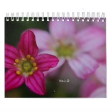 Pink Garden Flowers