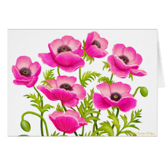 Pink Garden Poppies Card