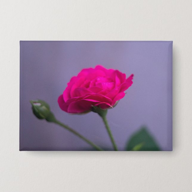 Pink Garden Rose Button (Front)