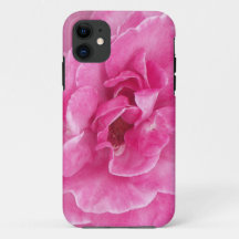 Pink Garden Rose