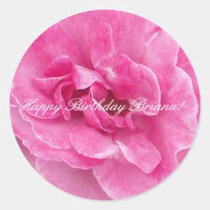 Pink Garden Rose Classic Round Sticker