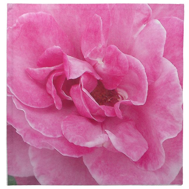 Pink Garden Rose Cloth Napkin (Front)