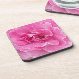 Pink Garden Rose Drink Coaster