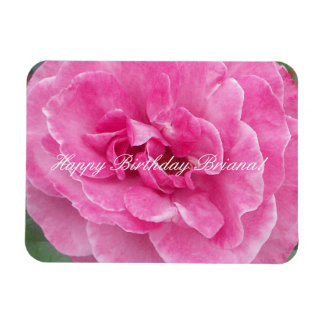 Pink Garden Rose Magnet