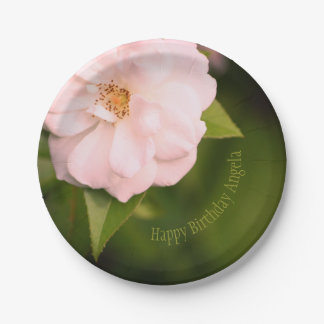 Pink Garden Rose Paper Plates
