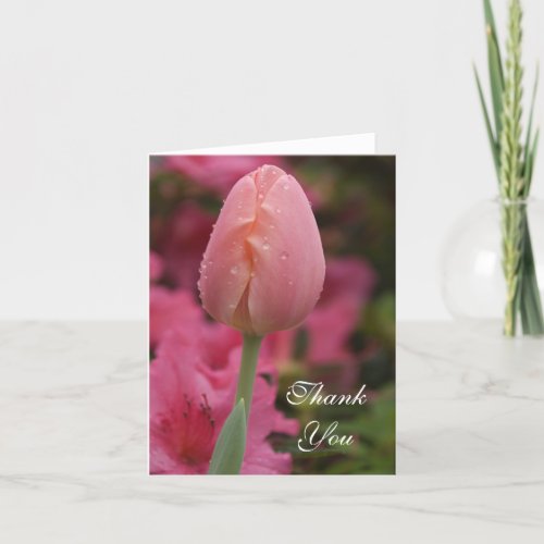 Pink Garden Tulip Thank You
