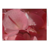 Pink geranium: almost solid Light pink (Front Horizontal)