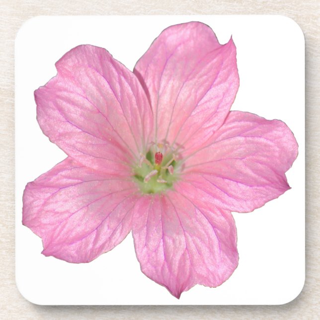 Pink Geranium Beverage Coaster (Front)