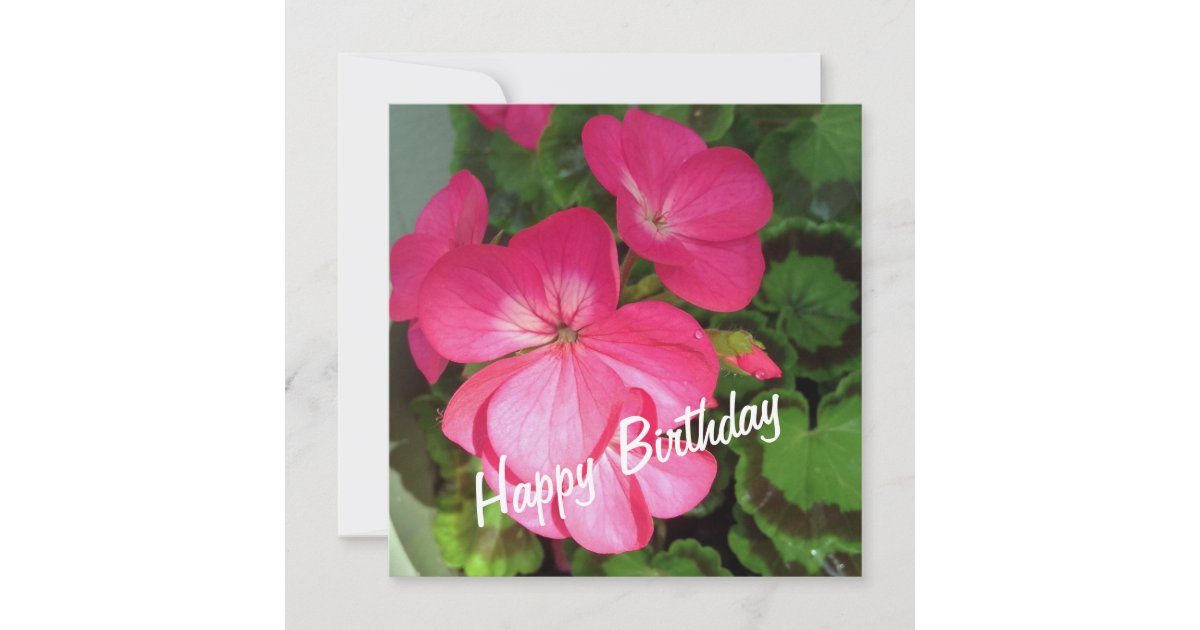 Pink Geranium Birthday Card | Zazzle