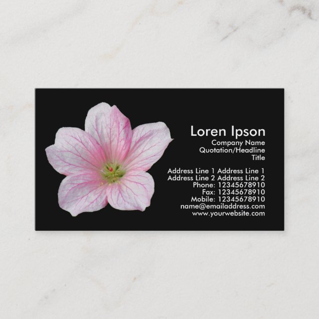 Pink Geranium - Black Business Card (Front)