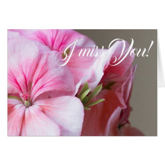 Pink geranium flower cards (Front Horizontal)