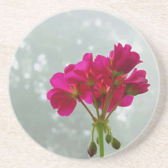 Pink Geranium Photography Sandstone Coaster (Front)