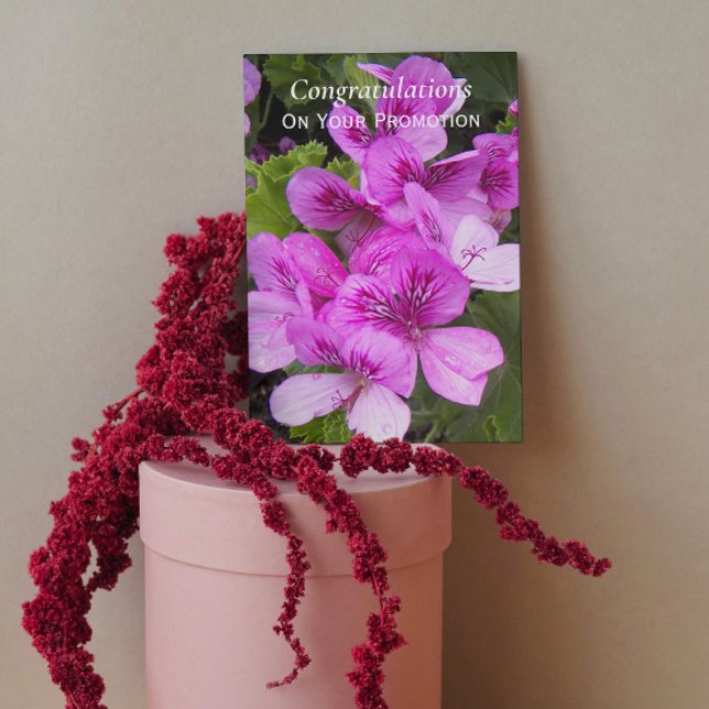 Pink Geraniums Job Promotion Congratulations Card (In Situ)