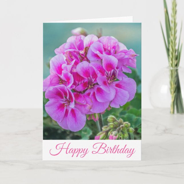 Pink geraniums up close birthday card (Front)