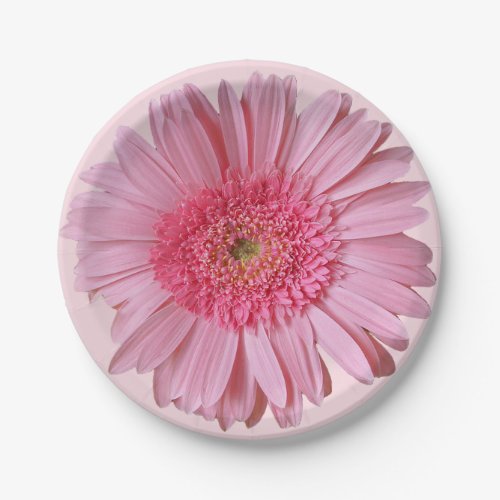Pink Gerber Daisy Paper Plates