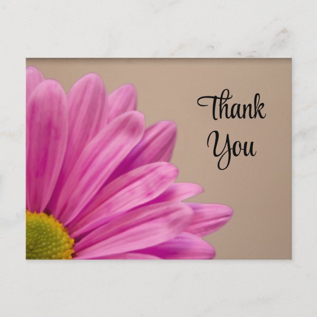 Pink Gerber Daisy Thank You Postcard (Front)
