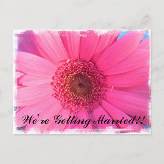 Pink Gerber Daisy Wedding Invitation Postcard