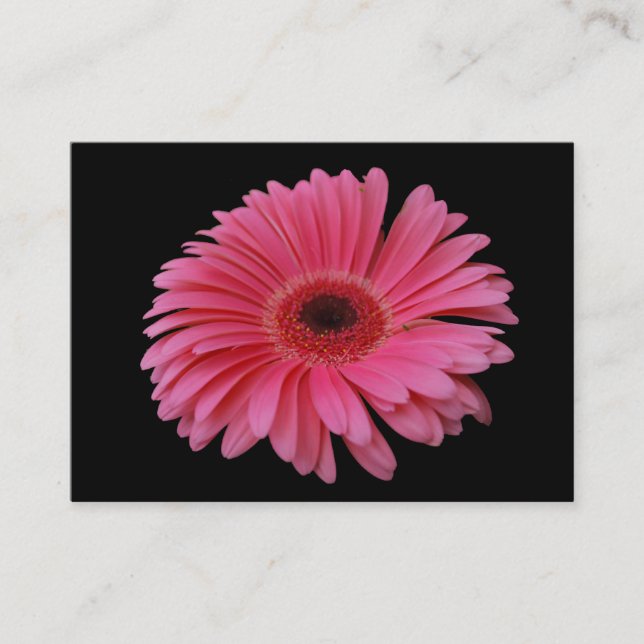 Pink Gerbera Black ACEO Business Card (Front)