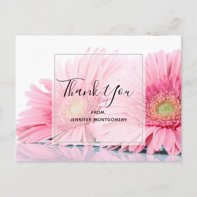 Pink Gerbera Daisies Elegant Photo Thank You Postcard | Zazzle