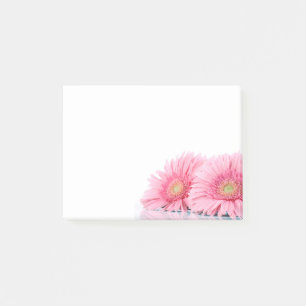 Pink Gerbera Daisies Elegant Photography Post-it Notes