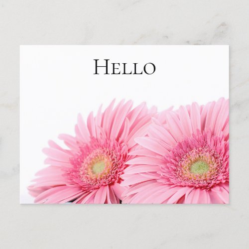Pink Gerbera Daisies Elegant Photography Postcard