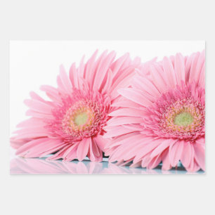 Pink Gerbera Daisies Elegant Photography Wrapping Paper Sheets