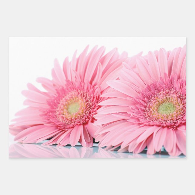  Pink Gerbera Daisies Elegant Photography Wrapping Paper Sheets (Front)