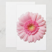 Pink Gerbera Daisy (Front/Back)