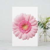 Pink Gerbera Daisy (Standing Front)
