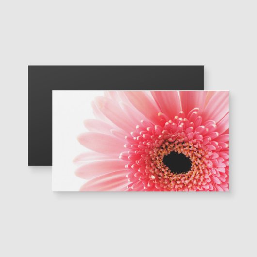 Pink Gerbera Daisy (Front/Back)