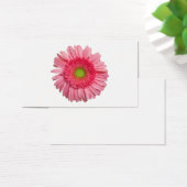 Pink Gerbera Daisy (Desk)
