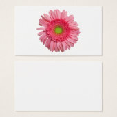 Pink Gerbera Daisy (Front & Back)
