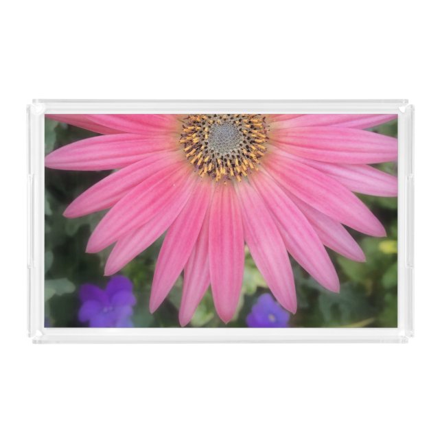 Pink Gerbera Daisy Acrylic Tray (Front)