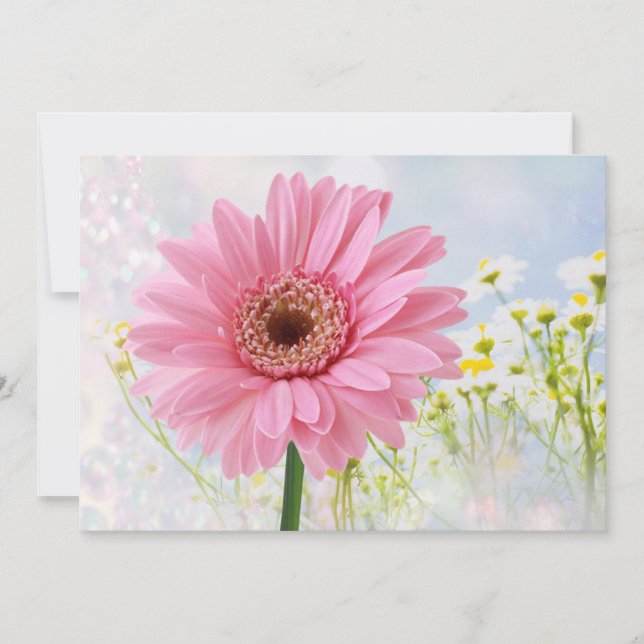 Pink Gerbera daisy any occasion Invitation (Front)