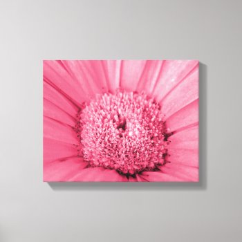 Pink Gerbera Daisy Canvas Print by artinphotography at Zazzle