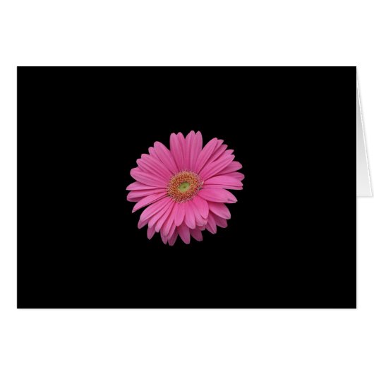 Pink Gerbera Daisy Cards (Front Horizontal)