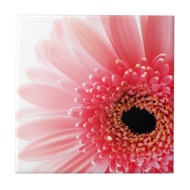 Pink Gerbera Daisy  Ceramic Tile (Front)