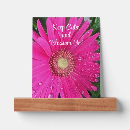 Pink Gerbera Daisy Flower Keep Calm and Blossom On Picture Ledge