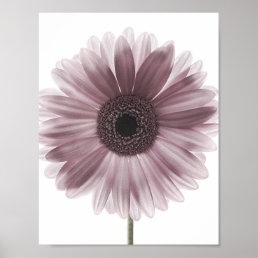 Pink Gerbera Daisy Flower Photo Art Poster